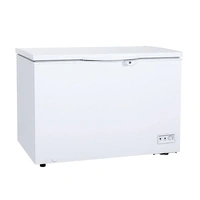 საყინულე CHIGO CFD485