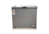 საყინულე SKYTECH SCFR290DG
